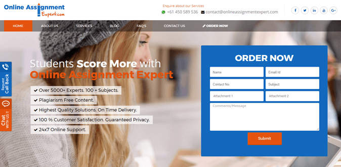 onlineassignmentexpert.com review