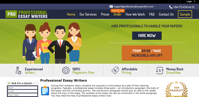 Professional essay writers review
